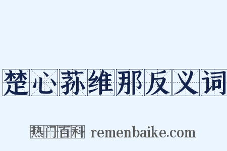 楚心荪维那反义词是什么意思的图片